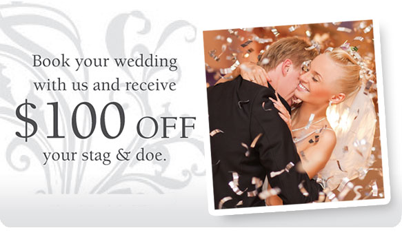 Stag and Doe DJ / Stag DJ